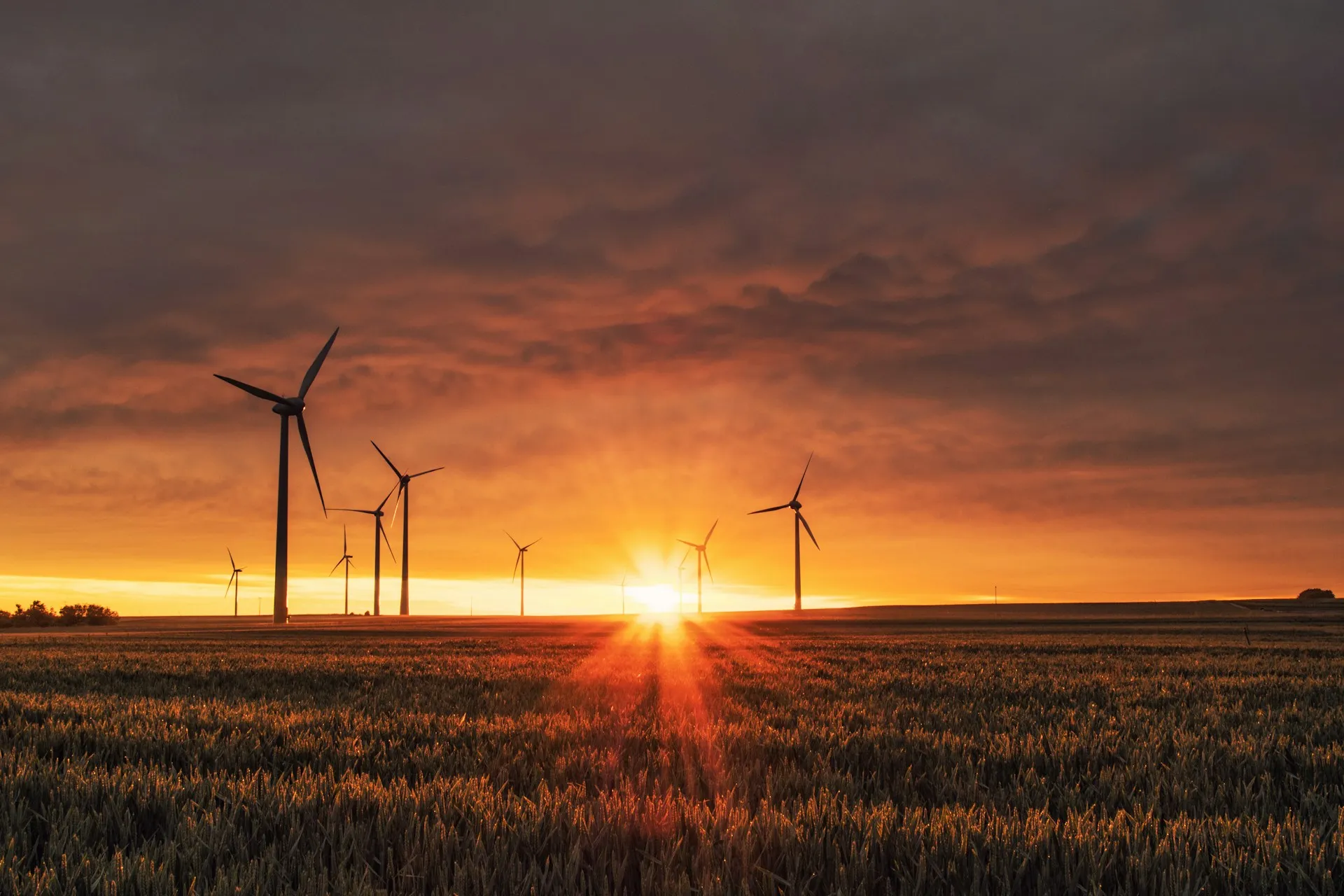 Wind turbines generating renewable energy for sustainable and low-carbon impact