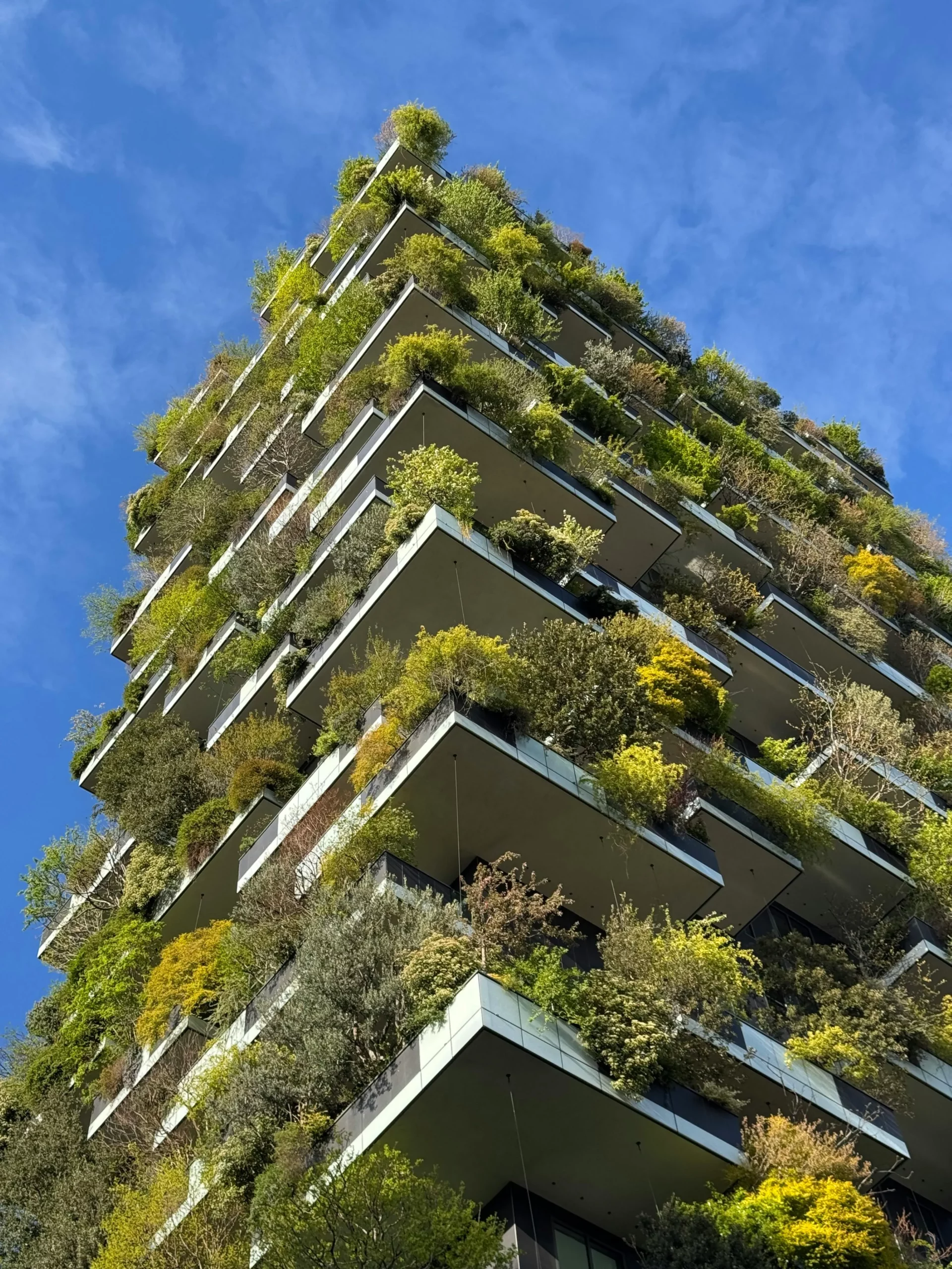 Urban Ecosystem