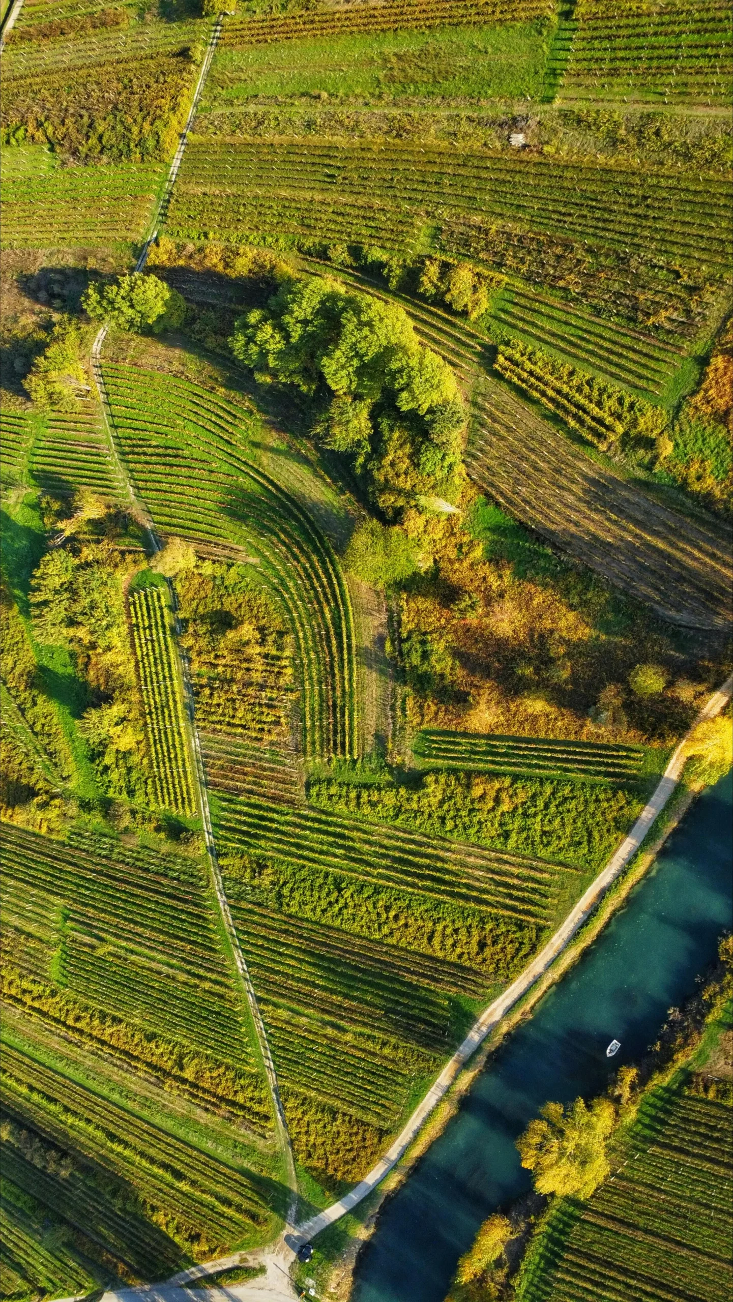 Precision Agriculture Monitoring
